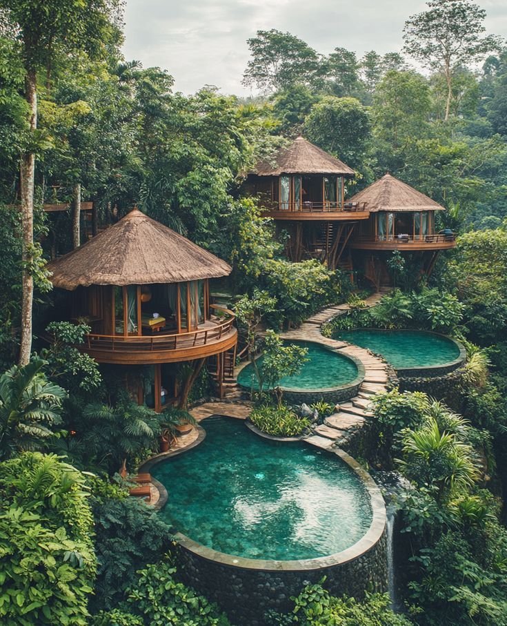 Eco Lodge Canopy Mountain