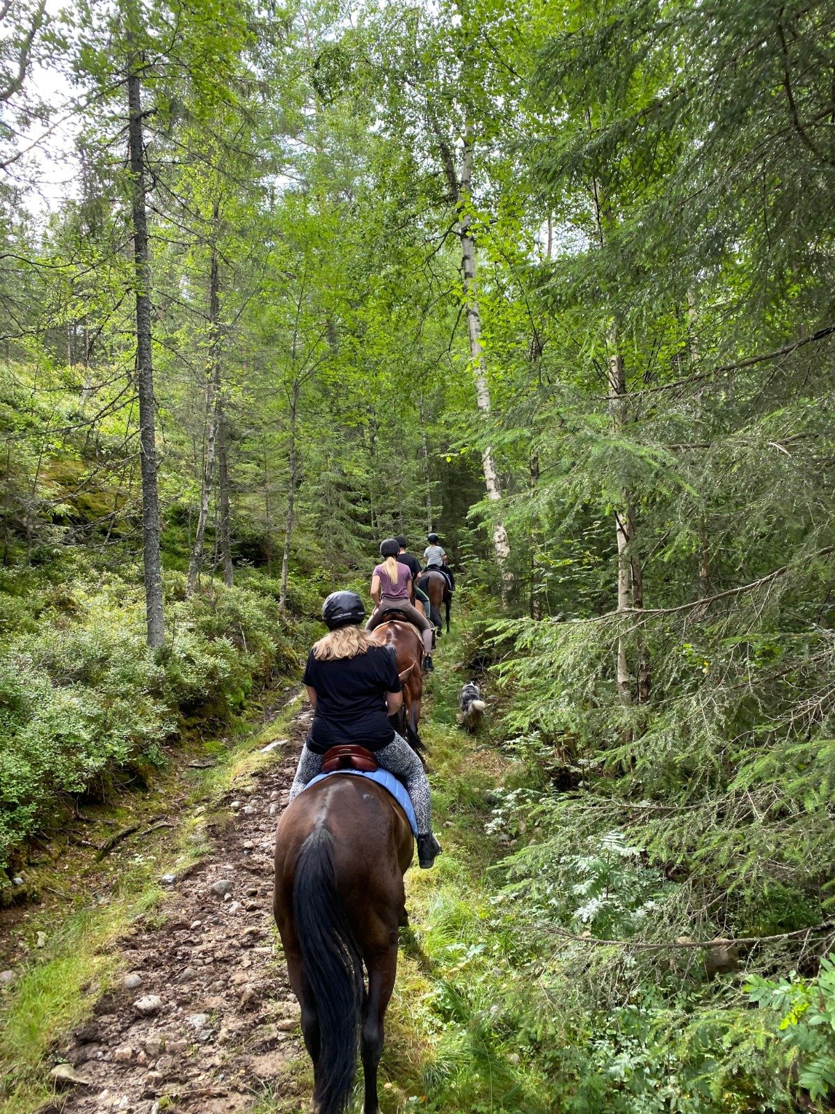 Cabalgata Ecológica La Vega